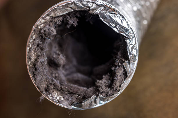 Best Emergency Air Duct Cleaning  in Big Bass Lake, PA